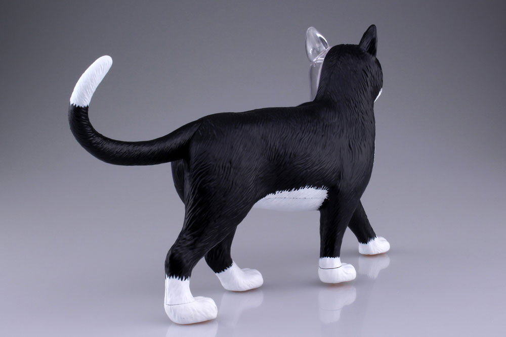 立体パズル 4D VISION No.29 猫 解剖モデル 青島文化教材社