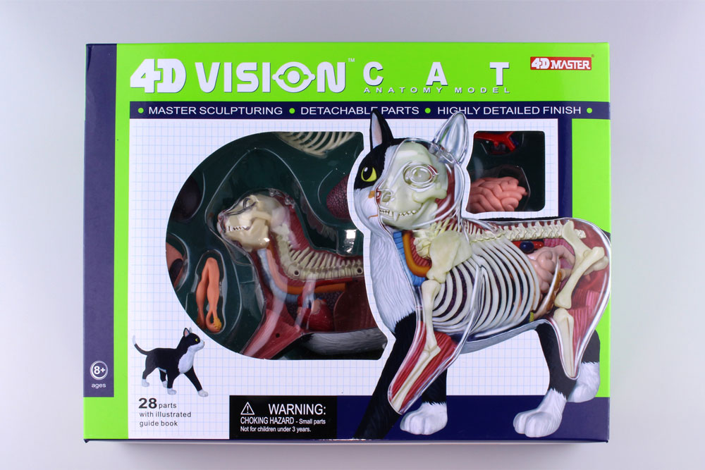 状態は良い スカイネット 立体パズル 4D VISION 動物解剖 No.29 猫