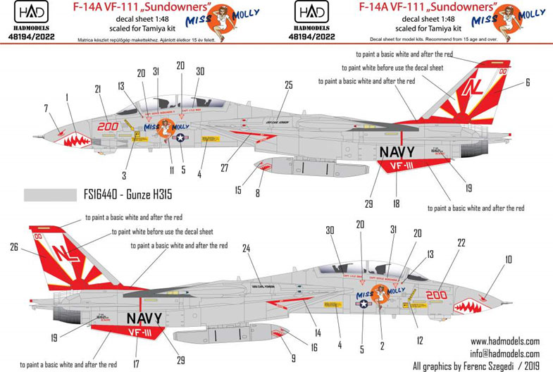 1/48 F-14A VF-111 ｢サンダウナーズ｣ミスモリ―2022年エディション (タミヤ用)