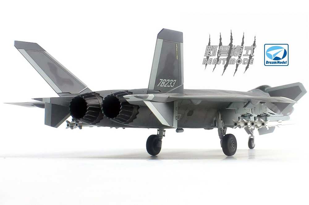 DMO720010BM ドリームモデル 1/72 J-20 「威龍」 中国空軍 ステルス