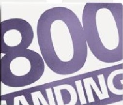 XS10-800 パワースポンジヤスリ10mm#800