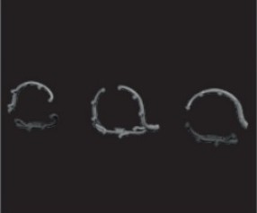 8591437613854