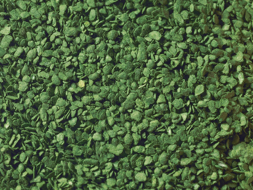 パウダーリーフ オリーブグリーン(葉径0.5～1.5mm)