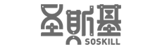 圣斯基(WAVE CORPORATION)