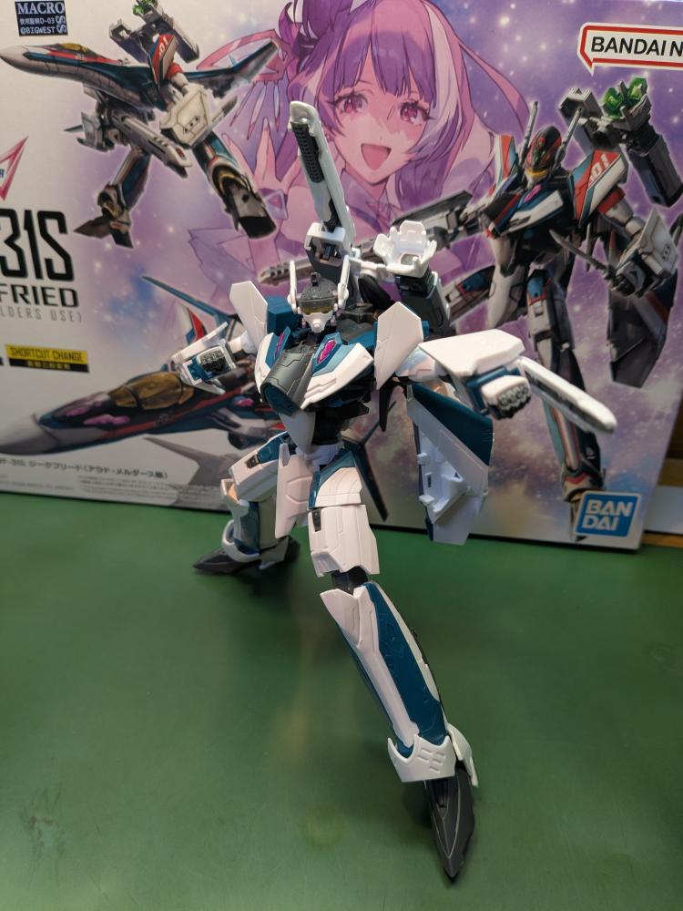 HG 1/100 VF-31S ジークフリード (アラド・メルダース機) プラモデル